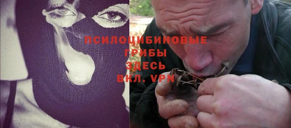 шишки Абаза