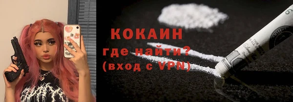 шишки Абаза