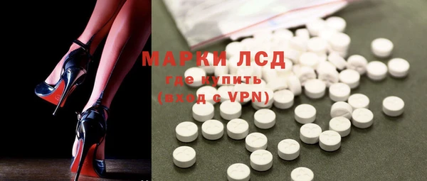 шишки Абаза