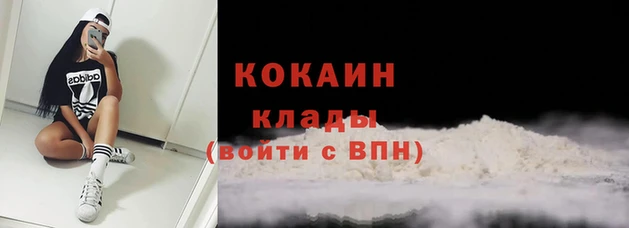 шишки Абаза