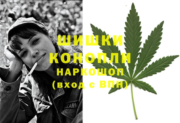 шишки Абаза