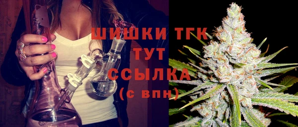 шишки Абаза