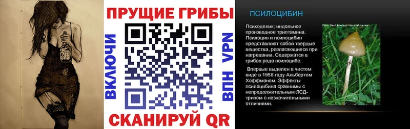 МЕГА tor  Александровск-Сахалинский  Псилоцибиновые грибы прущие грибы 