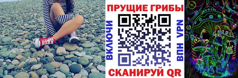 Галлюциногенные грибы Psilocybine cubensis Александровск-Сахалинский